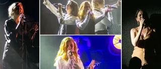 Så bra var premiären av Andra trions "A royal night"