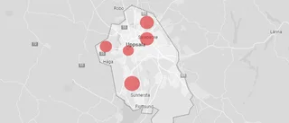 LISTA: Här är våldsdåden som skakat Uppsala – i år