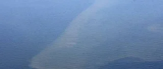 Allvarlig syrebrist i Östersjön