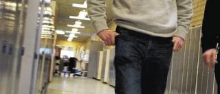 Lärande och skol- mat skiljer sig mest - när eleverna får betygssätta kommunala och privata skolor