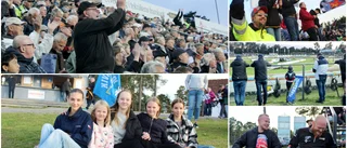 Bildspecial i publikhavet: "De är värda ett guld!"