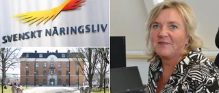 Så rankas Gotlands företagsklimat – långt ner på listan