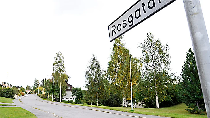 Rosgatan, Skellefteå