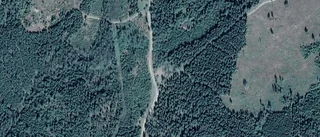 Ny ägare till tomt i Eksjö kommun - priset: 160 000 kronor