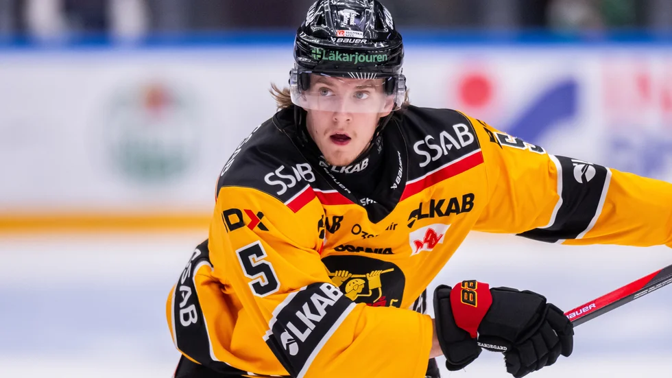 Älvsbygrabben Marcus Hardegård har snittat tredje mest istid av backarna i SHL.
