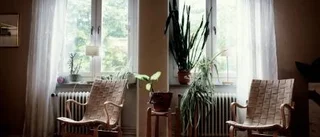 Varför så många självmord här?