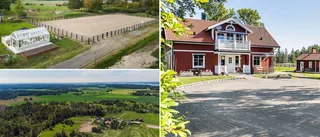 Ovanliga hästgården lockar många drömmare