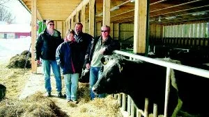 Kon i förgrunden. Joakim Andersson, Pia Johansson, Sune Karlsson och Johan Andersson framför Pia och Sunes nybyggda ungdjurstall i Gällerstorp. Alla är bönder som tror på en framtid för mjölkproduktion. Foto: LENA PETTERSSON