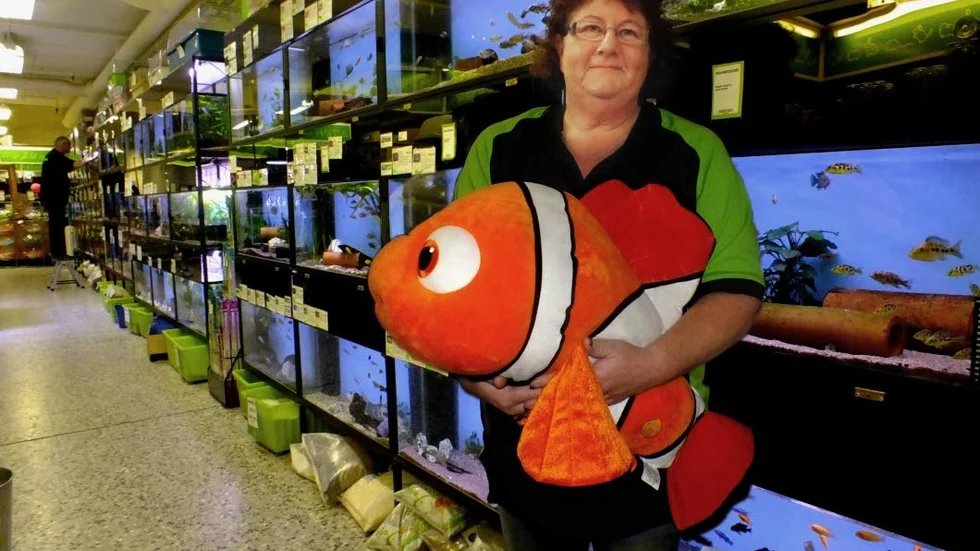En av Ann Helen Olsson favoriter i butiken är en kramdjursversion av Nemo. Den är inte till salu och undertecknad låter det vara osagt om Arken Zoo ens säljer riktiga clownfiskar.   
Bild