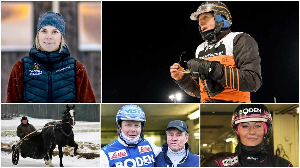 Sandra Eriksson, Ove A Lindqvist (kör), Roger Nilsson, Petri Salmela och Hanna Olofssons stall selar ut fina chanser till helgens GS75-omgång i Boden.
