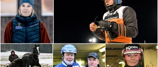 Toppkusken osäkert startande inför Bodens GS75-jackpott