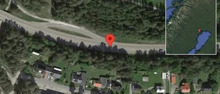 Varning för älg på vägen på väg 616