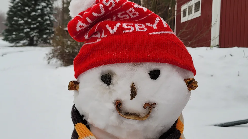 Dagens läsarbild.
