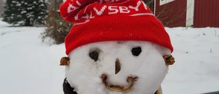 Dagens läsarbild: Snögubbe