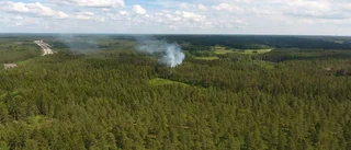 Skogsbrand vid Böksjön