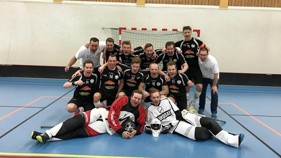 Antvarden laddar för spel i division 2 kommande säsong.