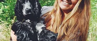 De minskar mobbningen i stallet