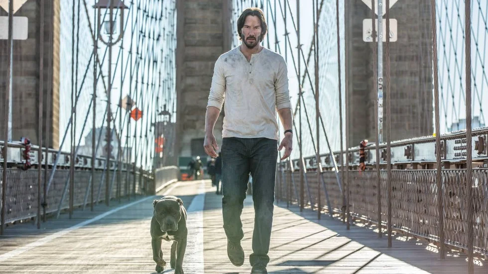 Keanu Reeves återvänder som lönnmördaren John Wick och skjuter nästan alla han träffar i huvudet.