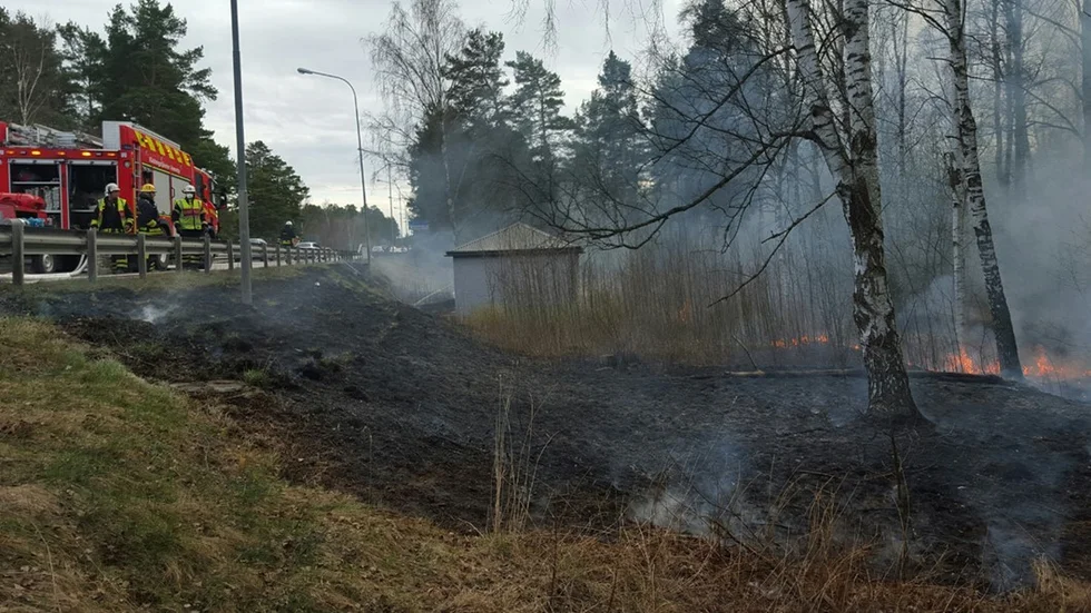 Foto: Roelof Stroetinga