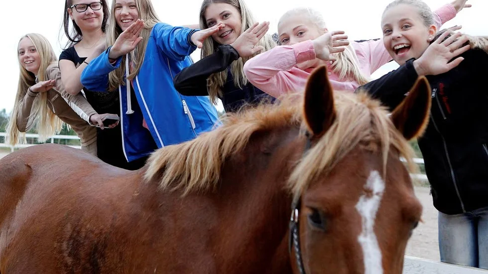 Vinnare. Några av ryttarna i Nyckelryttarnas vinnande lag. Tilda Nystedt, Ylva Stridh-Holmertz, Malva Sjelvgren, Nathalie Karlfeldt-Ekberg, Esmeralda Widlöf, Tuva Karlfeldt-Ekberg. Stridh-Holmertz ingick dock inte i hopplagen utan rider finalen i dressyr den kommande helgen.