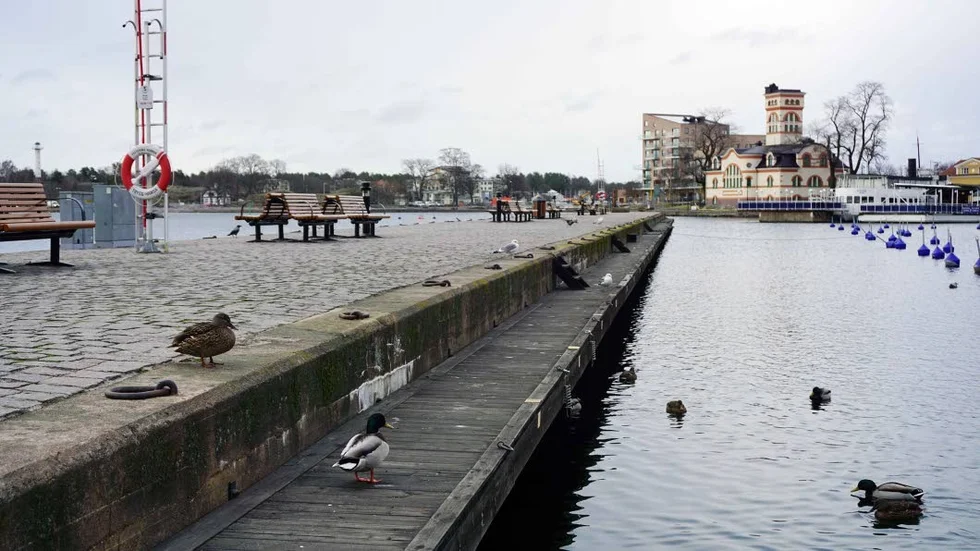 Blivande gästhamn. Kommunen vill göra ett försök med en enklare gästhamnsverksamhet i inre hamnen i sommar.