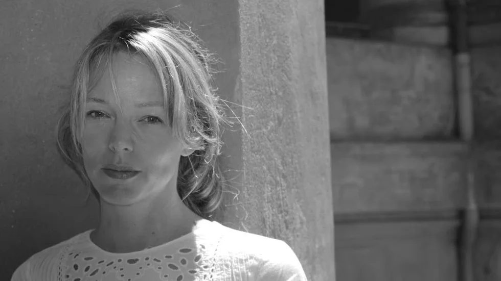 Lina Wolff, född 1973, är bosatt i Hörby. Hennes andra bok, romanen "Bret Easton Ellis och de andra hundarna" (2012)  belönades med Tidningen Vi:s litteraturpris.