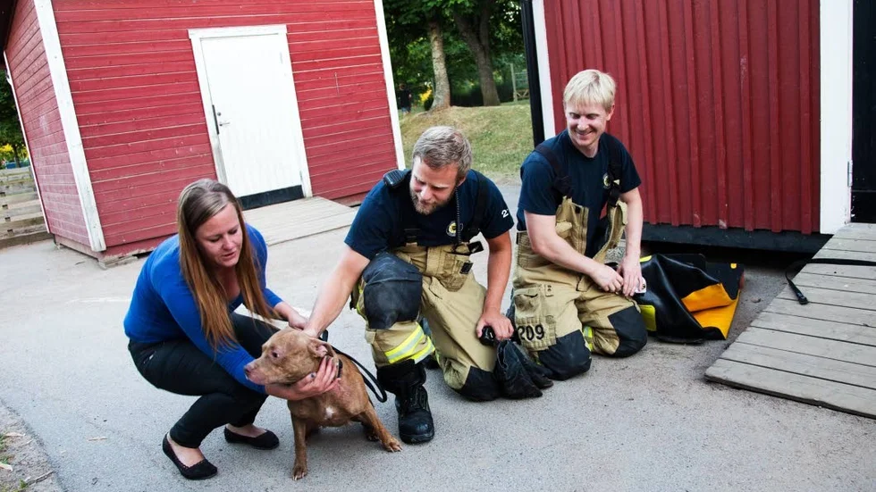 Hunden räddades av bland annat Björn Held och Robert Damm från räddningstjänsten, Pernilla Johansson kunde pusta ut.
