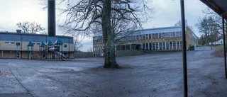 Fyror föreslår förbättringar