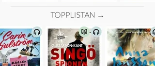 Långsamhetens lov