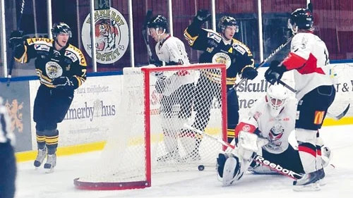 Hemmastarka. VH:s seger med 6-2 mot Mjölby igår var lagets nionde raka för säsongen på hemmais. Foto: Janne Strömsten