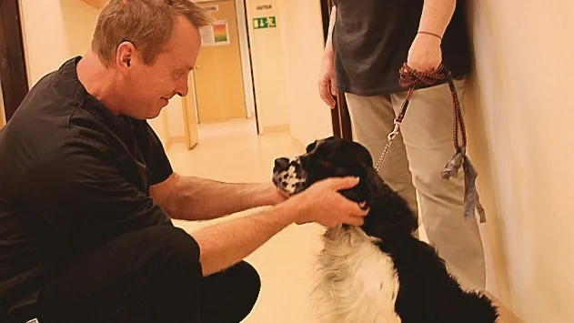 Veterinär Petter Ljung som pysslar om engelska springer spanieln Kenzo, som haft problem med en sprucken klo. Matte Angela Brusberg, Hultsfred, har haft hund i många år och är en van besökare på veterinärstationen. Foto: Rebecca Forsgren Malmström