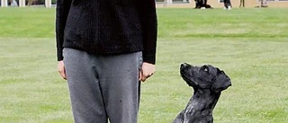 Gymnasietjejer tävlar i skol-SM för hund