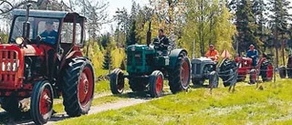Veteranbilsrally på skogsvägar