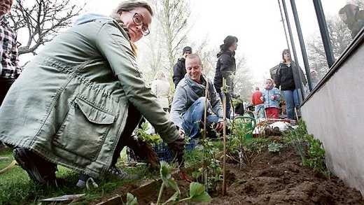 Anna Djurstedt och Lars Johansson planterar jordgubbsplantor.