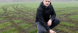 Omfattande skadegörelse i Malmslätt