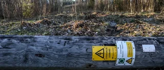 "Alfrida" knäckte ledningsstolparna