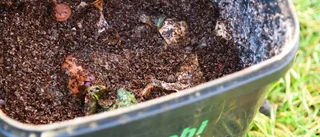 Hon testade bokashi – och föll pladask