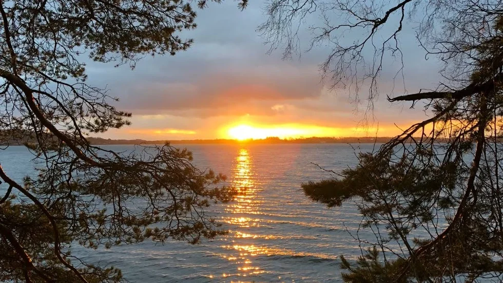 Natur. Den vinnande bilden är tagen på Råssnäsudden i Motala.