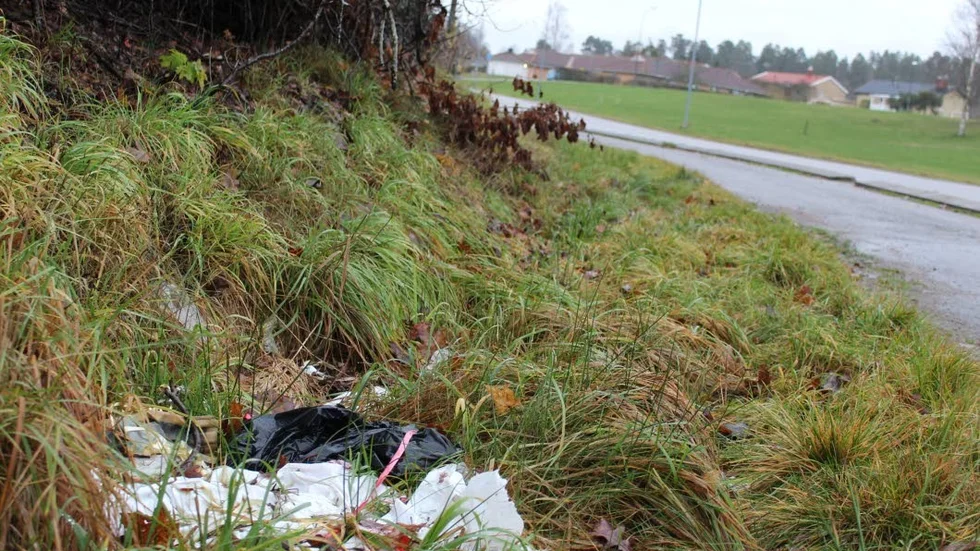 Håll Sverige Rent har rankat kommunernas arbete mot nedskräpning. Bilden är tagen i Gamleby.