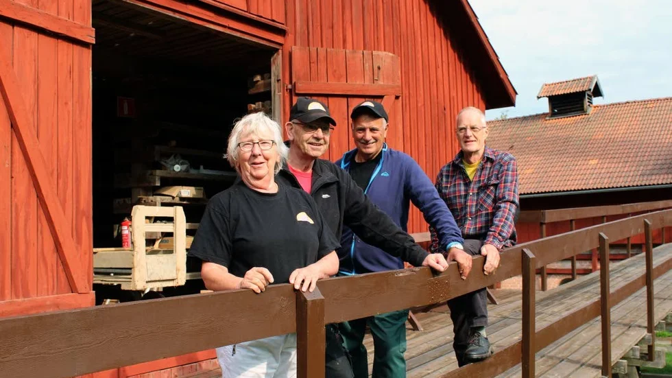 Solbritt Steinholtz, Steve Kersten, Bosse Gustavsson och Claes Siöstedt är några av dem som förbereder Tegelbrukets dag i Almvik.