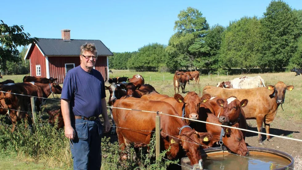 Håkan Lundgren i Heda, Gamleby, är ordförande i LRF Sydost.