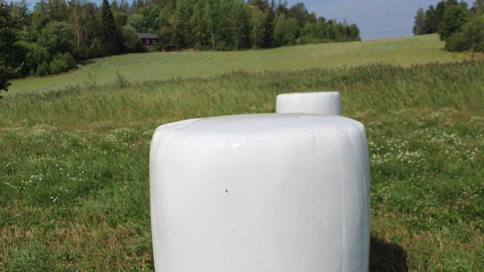 Priset på ensilage ökar för var dag som går.