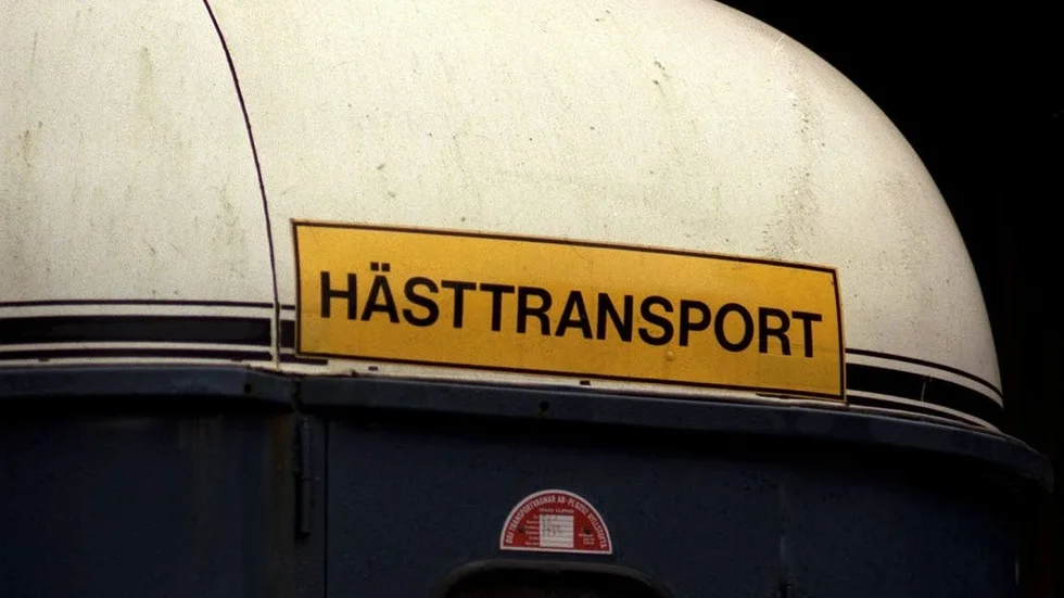 En hästtransport tappade ett hjul under färd på väg 288. Hästarna klarade sig och lastades om till ett nytt släp.