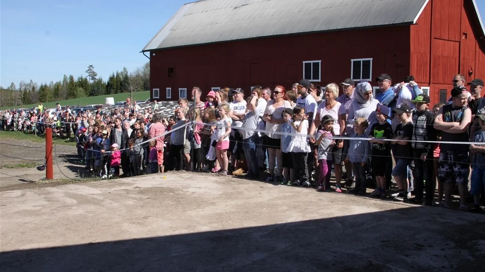 Kosläppet i Övrabo lockade många besökare. Cirka 350 personer ville vara med.