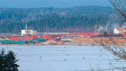 Nu vill även Företagarna i Kinda att timmer lagras i Kisasjön.