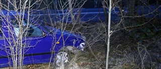Personbil körde in i trädgård