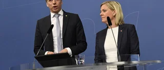 Rödgröna på skattjakt