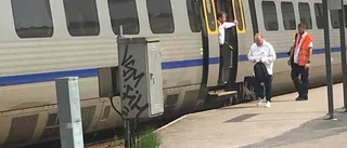 Därför stannade tåget
