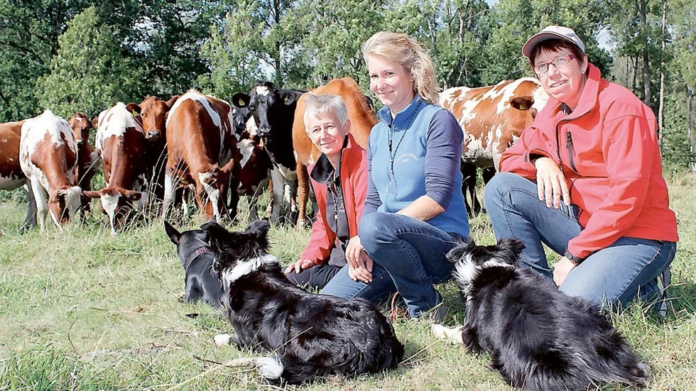 Tjustvallarna är en förening med cirka 60 medlemmar. Några av de aktiva är Sylvie-Ann Adolfsson med sina fyra working kelpie, Karin Löwenborg och Carina Johansson, som har fyra bordercollie var. Carina ska delta i både nöt-SM och får-SM framöver. Karin och Sylvie-Ann ska delta i Internationell klass 2 i Blekinge.