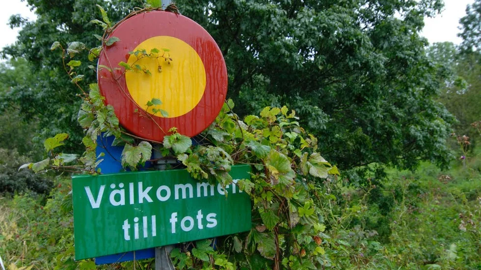 Ut i naturen. Nu vill vi ut och vandra i skog och mark.